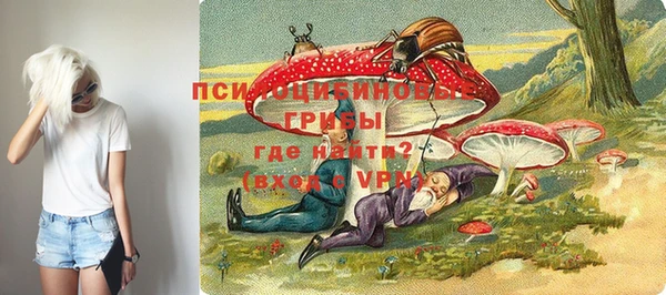 МДПВ Алексин