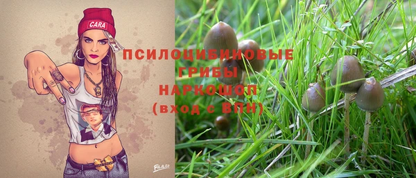 МДПВ Алексин
