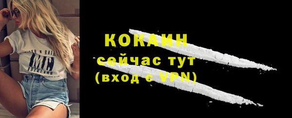 трава Арсеньев